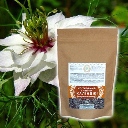 ecoliya-semena-kalindzhi-chernogo-tmina_5