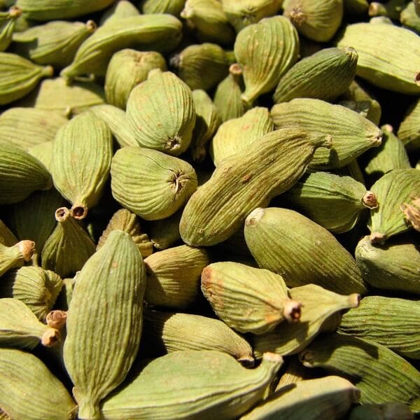 Кардамон (elettaria Cardamomum)