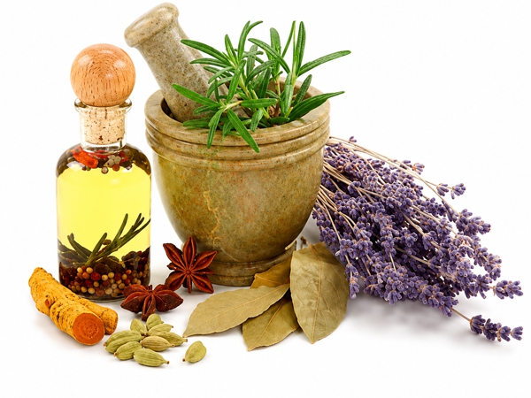 Categories Grid Ayurveda