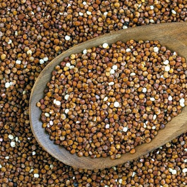 Киноа Красная (Роса-Фарм)