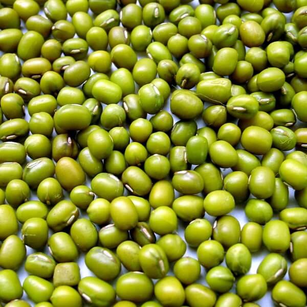 Маш (vigna Radiata)