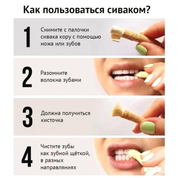 Мисвак для зубов и десен (Fresh Miswak) купить в Бутике аюрведы премиум качества ROSA