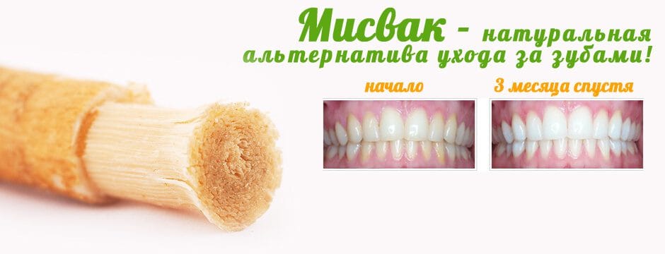 Мисвак для зубов и десен (fresh Miswak)