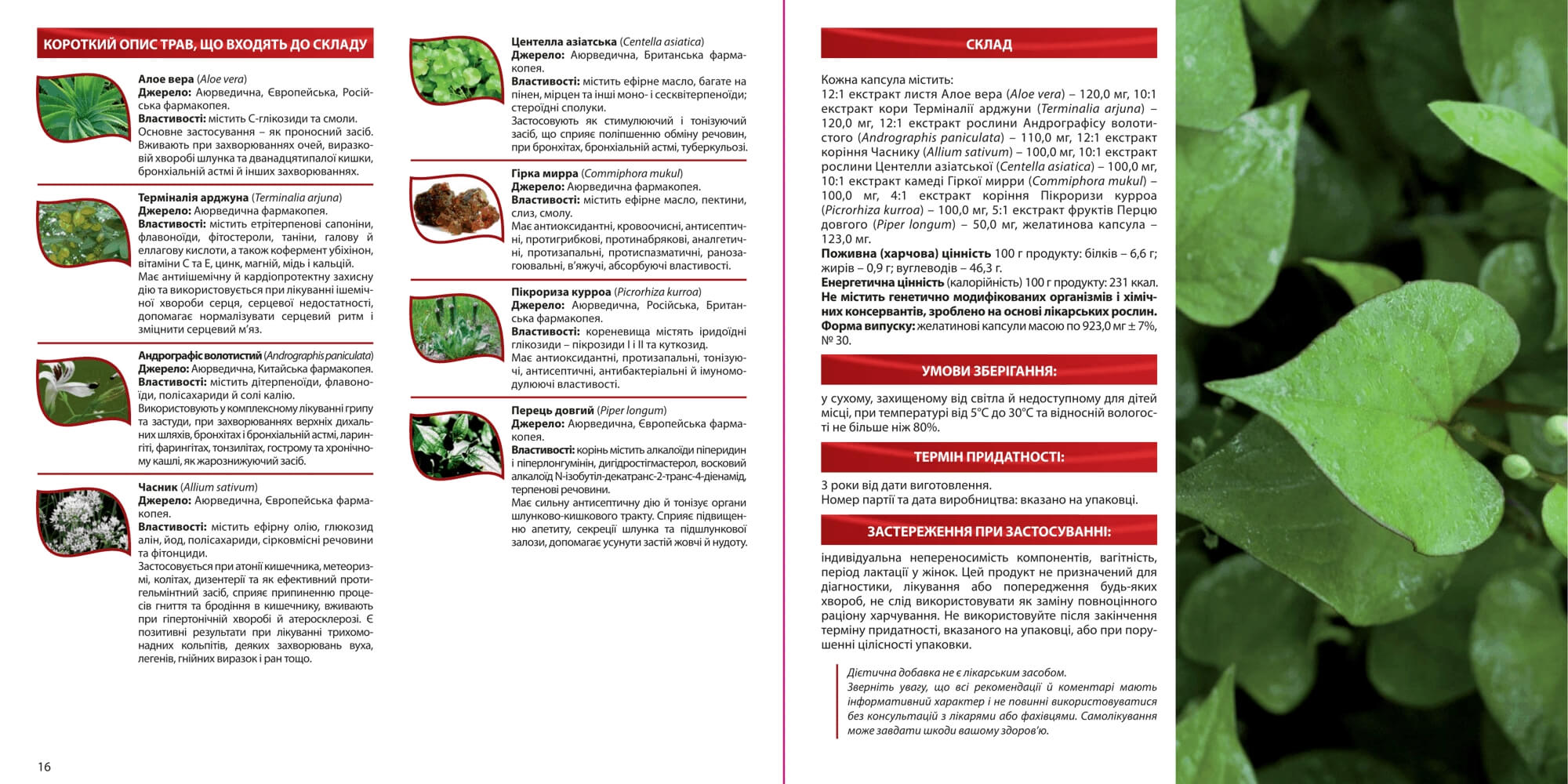 Фавордил ультра (favordil Ultra, Amma)