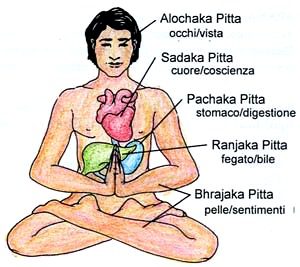 Основы Аюрведы. Субдоши 3 ॐ Бутик ROSA