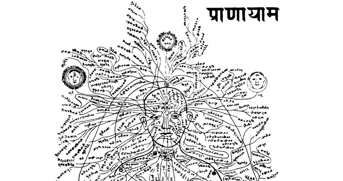 Шроты – сеть тонких каналов циркуляции в организме