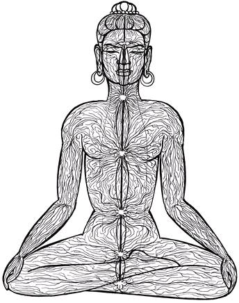 Шроты – сеть тонких каналов циркуляции в организме