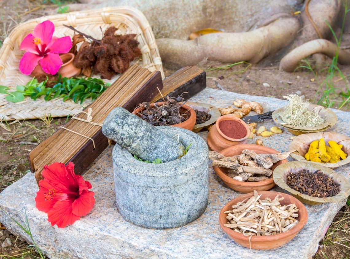 Травы в аюрведе: топ-10 популярных растений