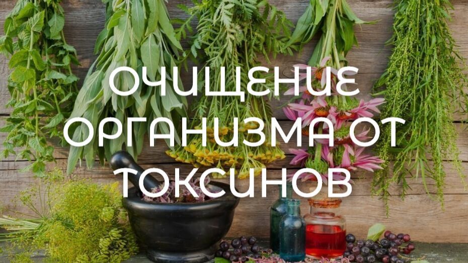 Очищение организма от токсинов по правилам Аюрведы