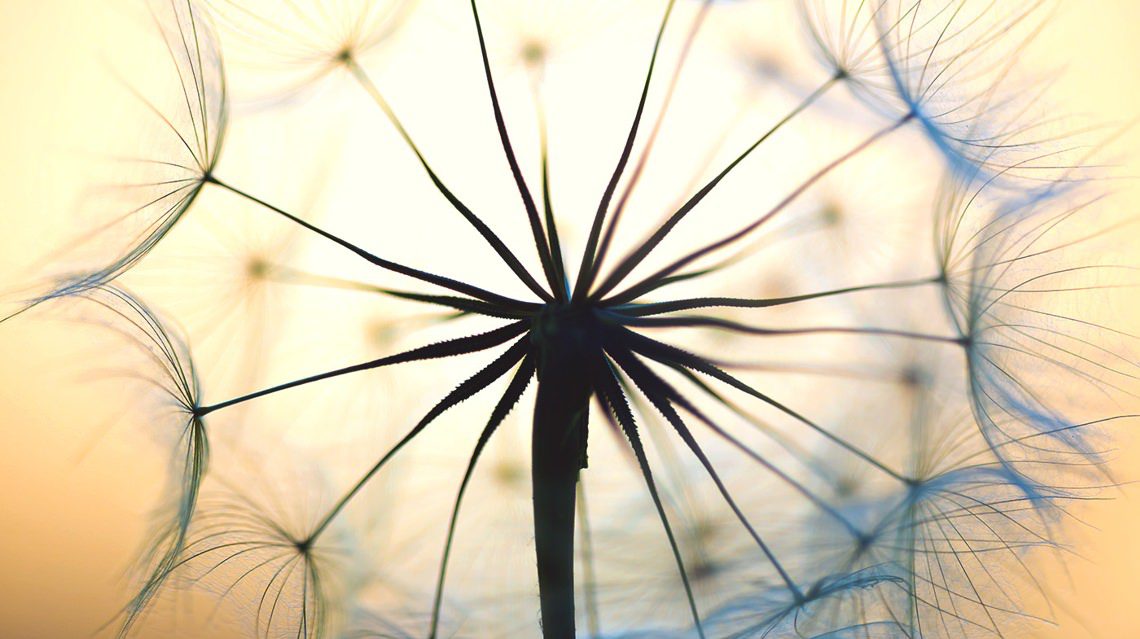 Возникновение и формирование болезни с позиции аюрведы. Часть 1.