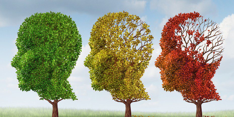 Психосоматика с позиции аюрведы