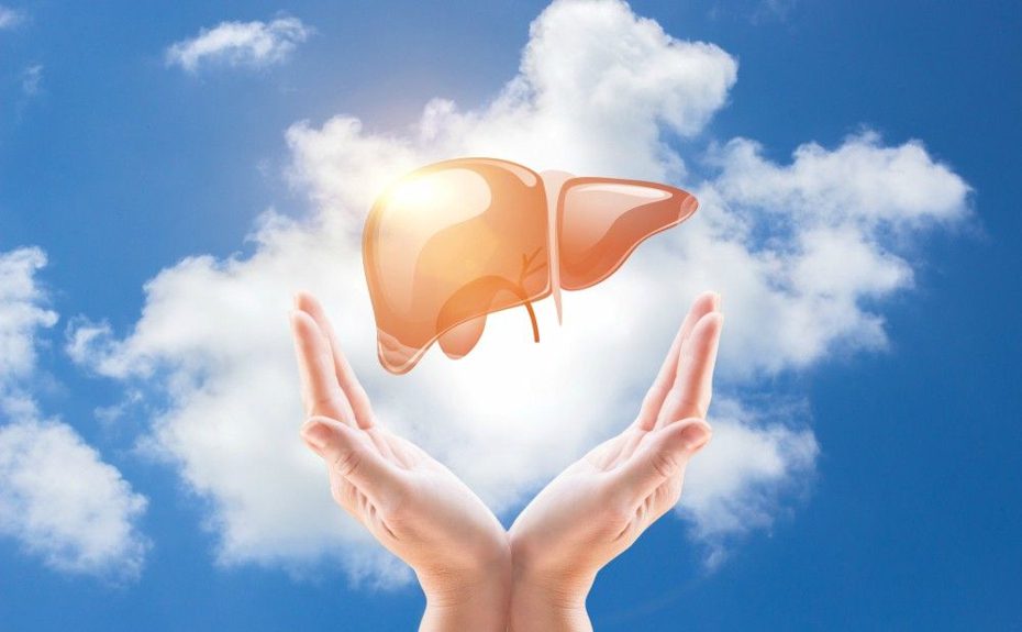 Ода печени. Осень - время заботы о главной железе ॐ Бутик ROSA