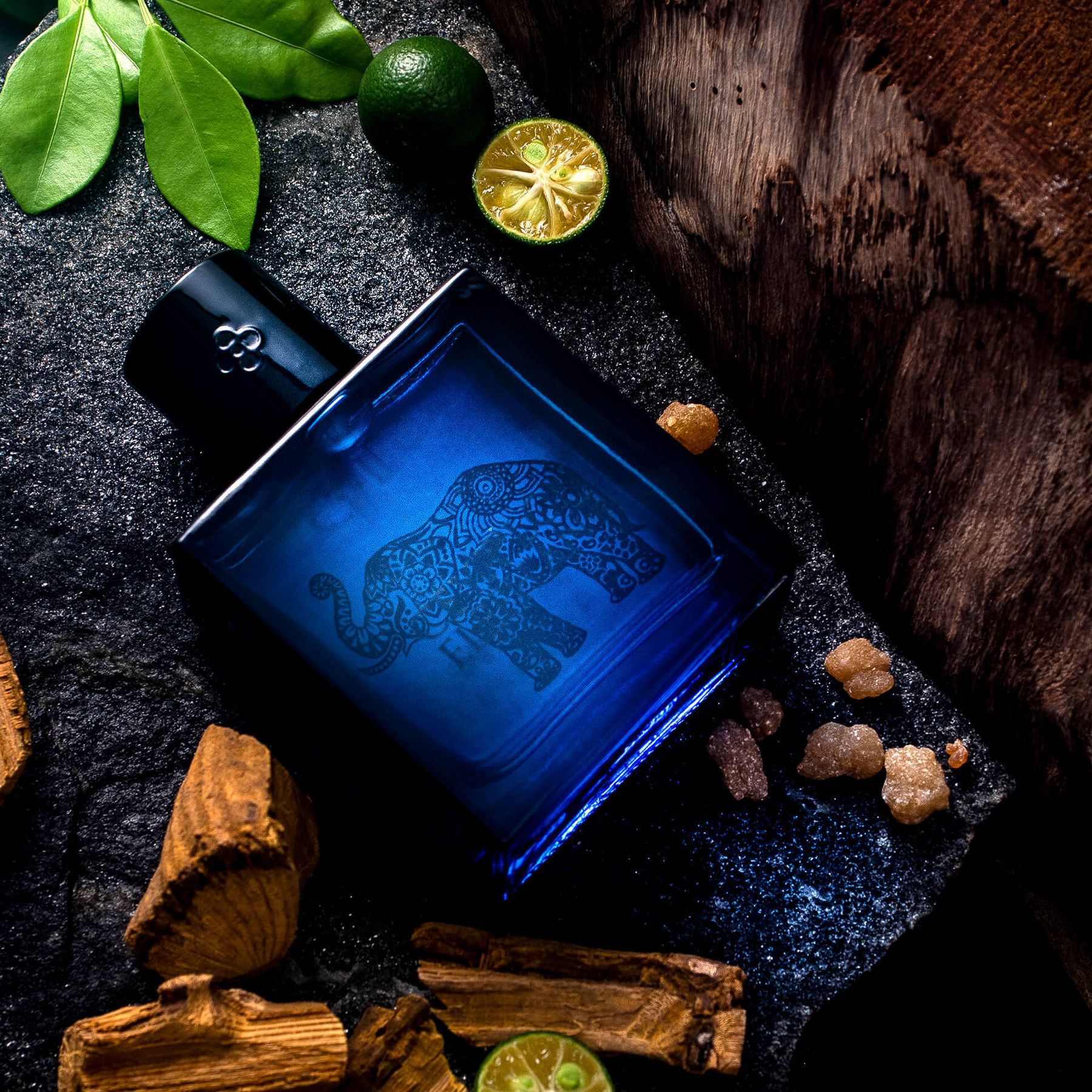 Мужская парфюмированная вода Лесное племя 100 мл купить