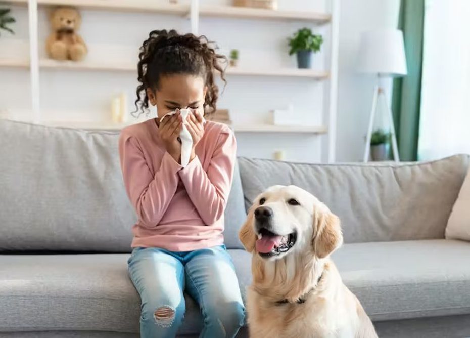 Аллергия: причины, основные формы проявления, рекомендации по лечению
