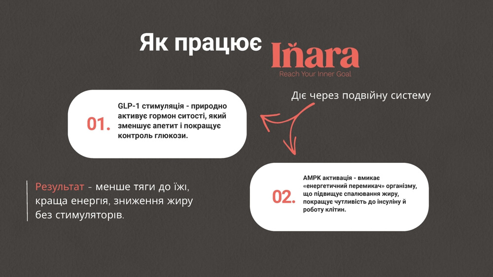 Inara GLP-1 Wellness Powder 04