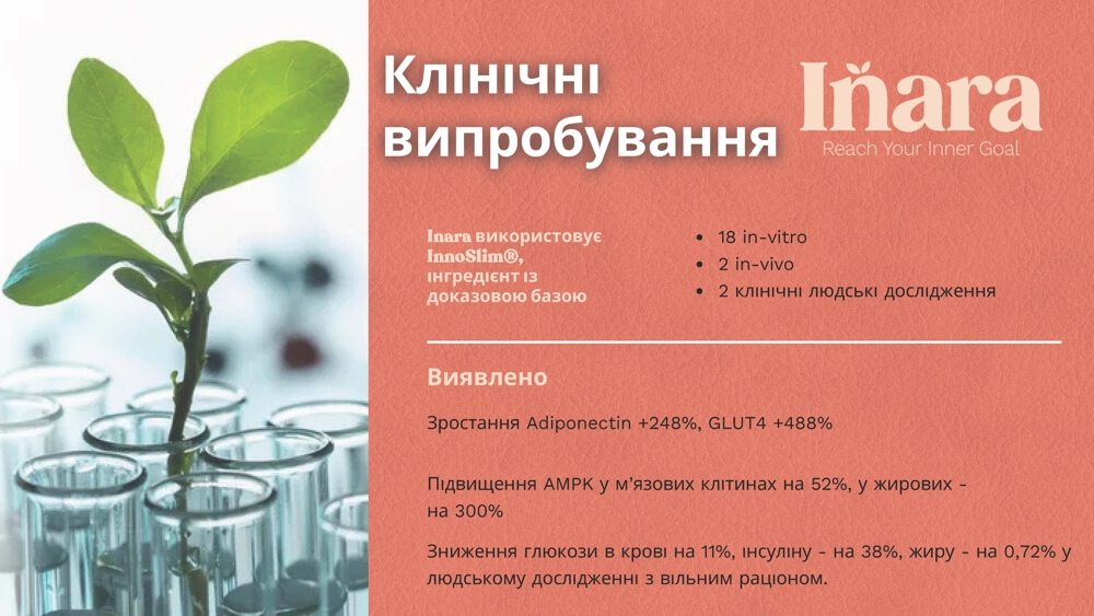 Inara GLP-1 Wellness Powder 06